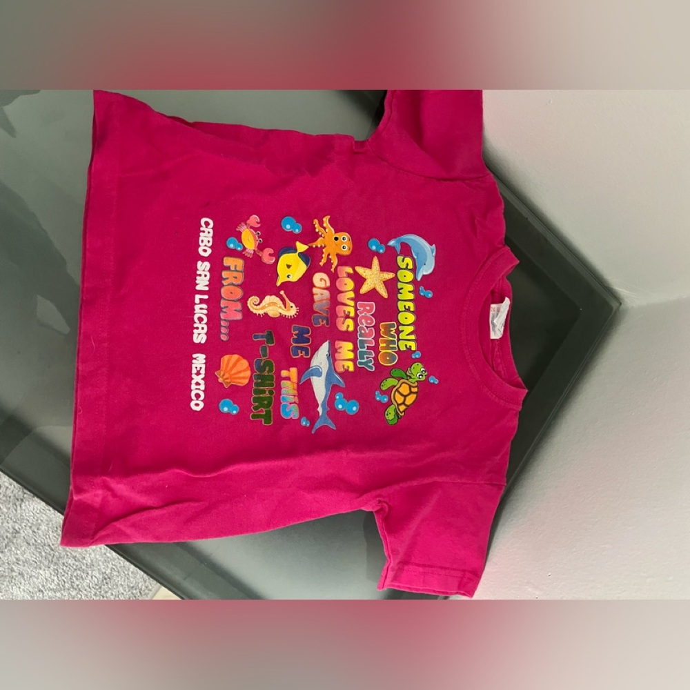 Hanes Pink Heavyweight T-Shirt